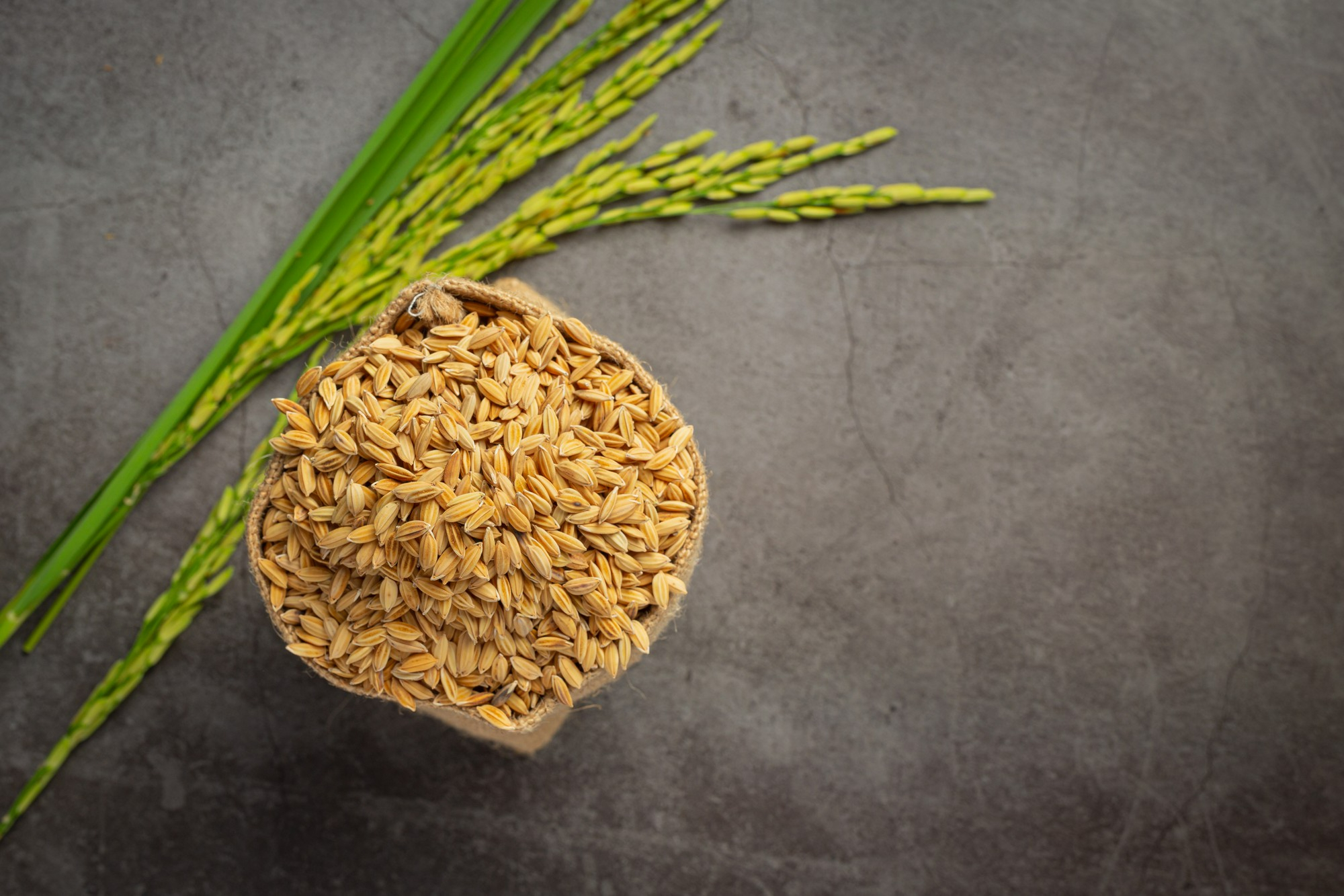 The Heart of Assam: Unveiling Gobindo Bhog Rice Suppliers and Prices