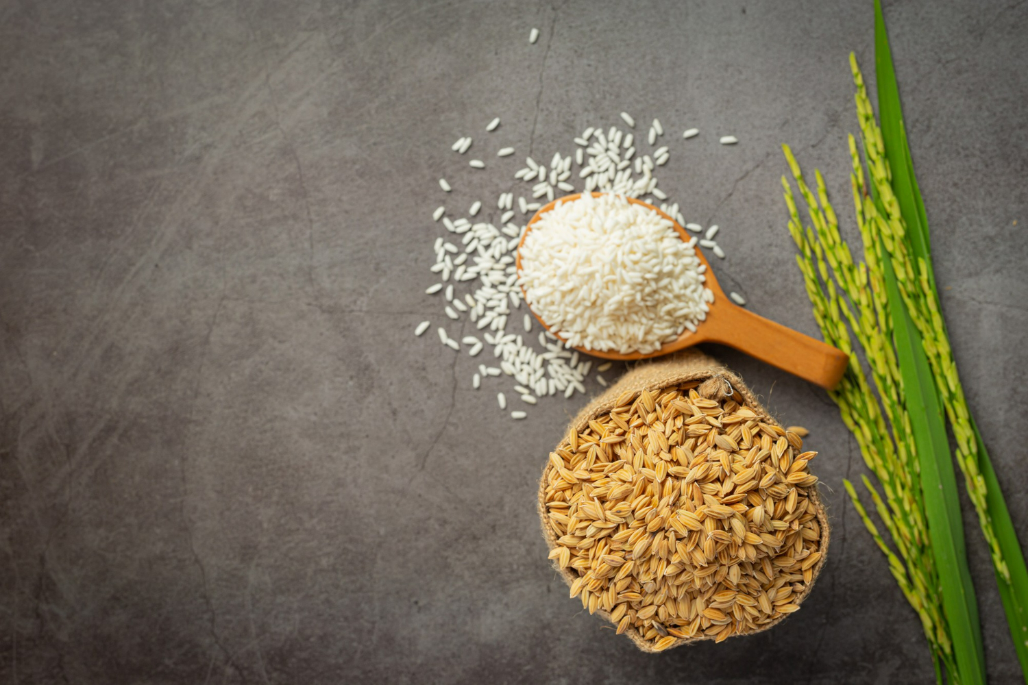 Tantalising Tamil Nadu: Exploring Gobindo Bhog Rice Varieties and Suppliers