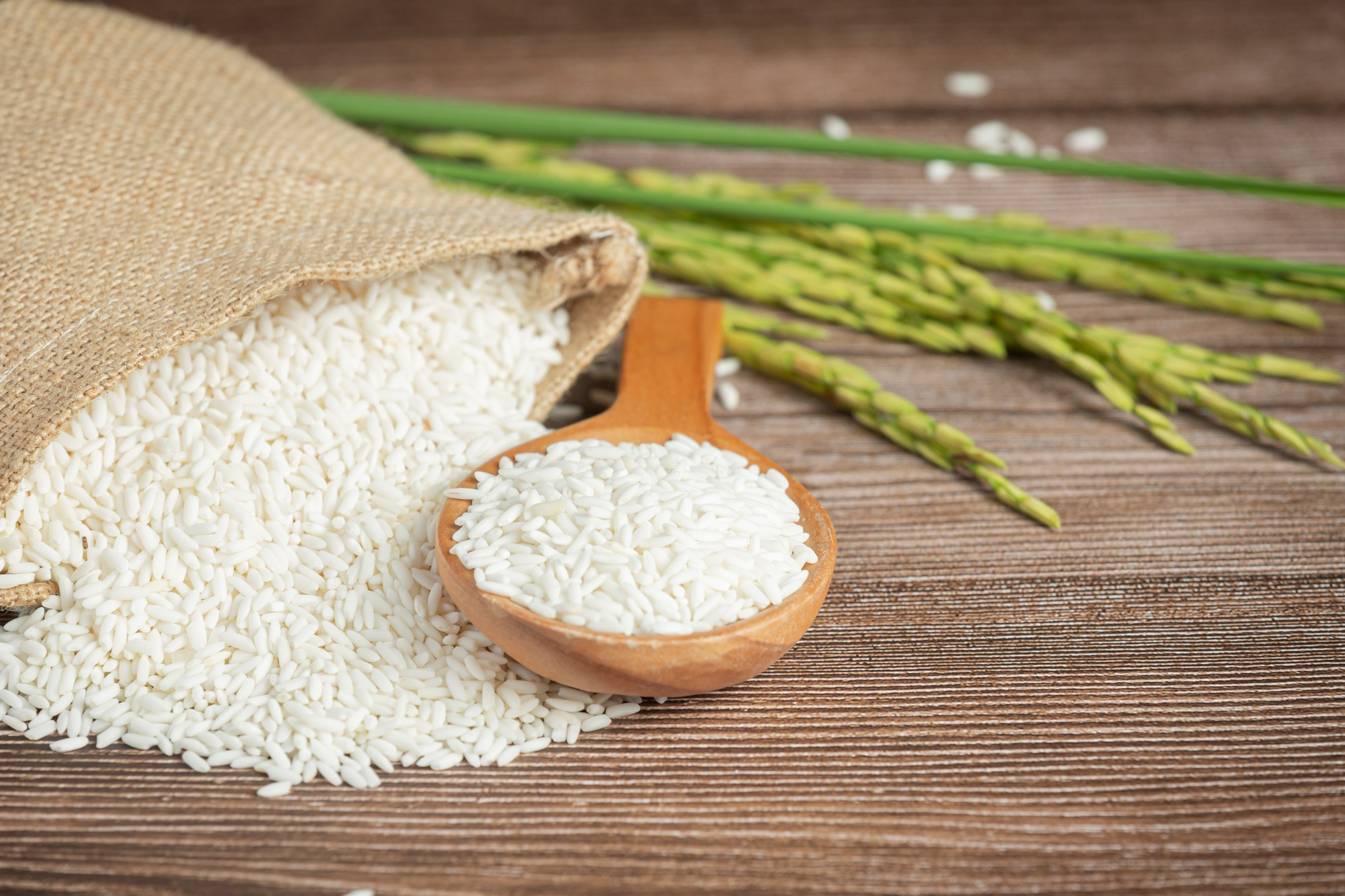 Beyond Borders: Gobindo Bhog Rice in Bangalore – Prices and Best Brands