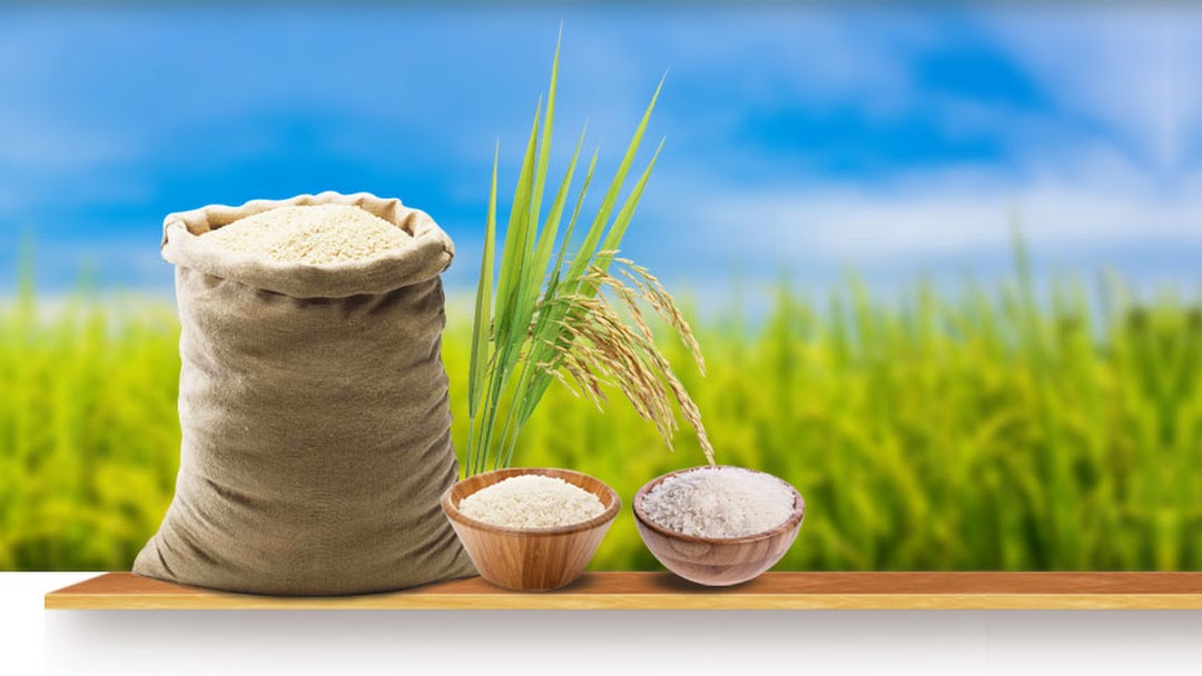 From Kerala to Karnataka: Navigating Gobindo Bhog Rice Markets in South India