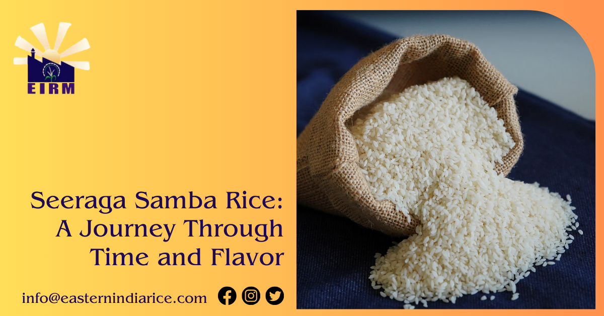 Seeraga Samba Rice: A Journey Through Time and Flavor
