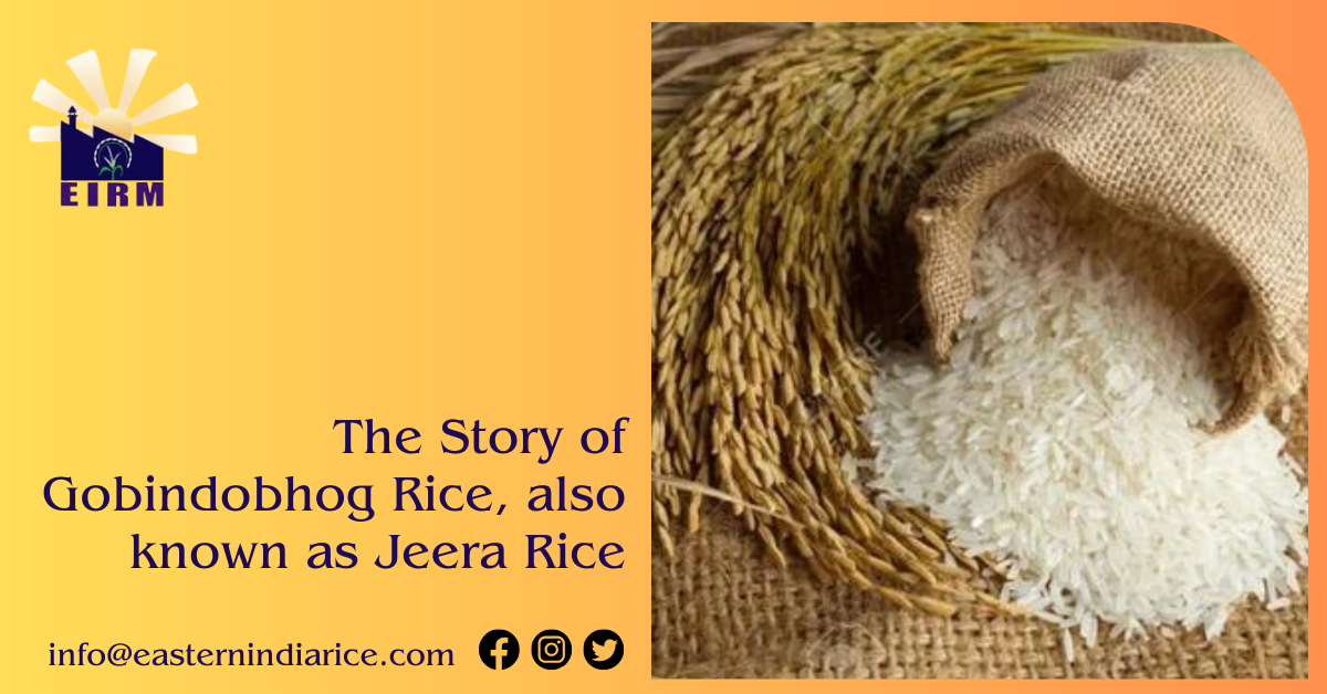 From Bengal to Bangalore: The Story of Gobindobhog Rice, also known as Jeera Rice
