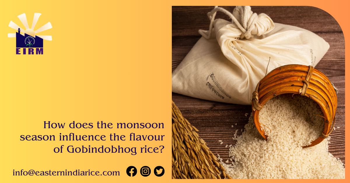 How does the monsoon season influence the flavour of Gobindobhog rice?