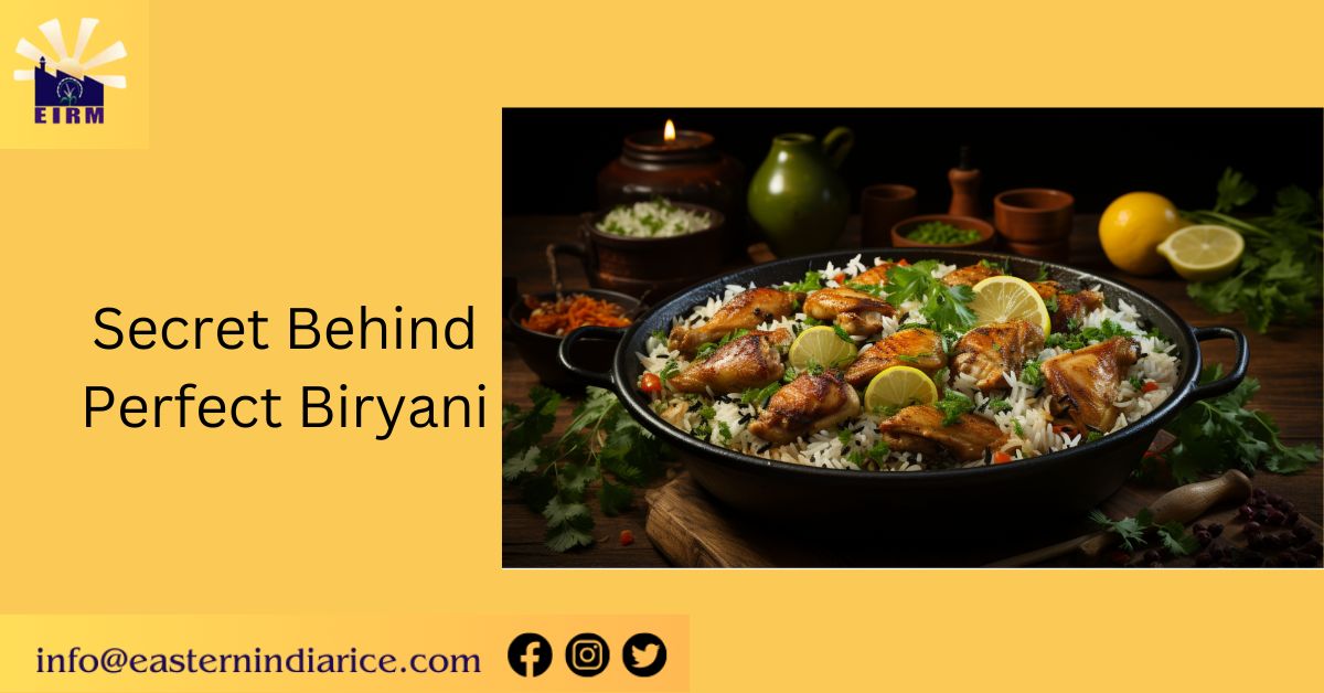 The Secret Behind Perfect Biryani: Choosing the Right Rice