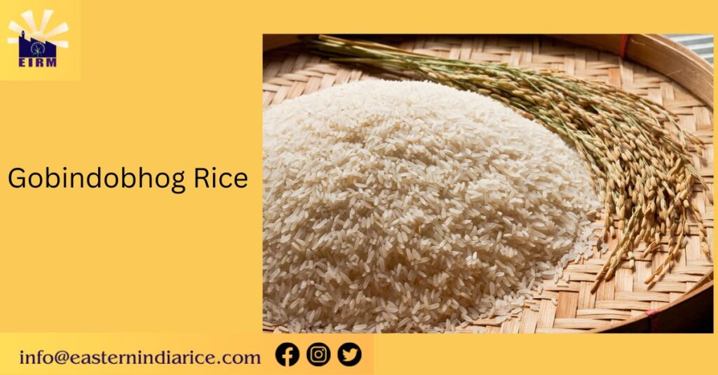 Gobindobhog Rice
