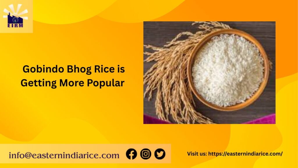 gobindo bhog rice supplier in kerala