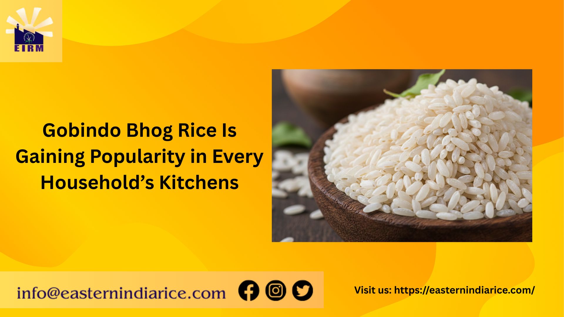 Why Gobindo Bhog Rice Is Gaining Popularity in Every Household’s Kitchens