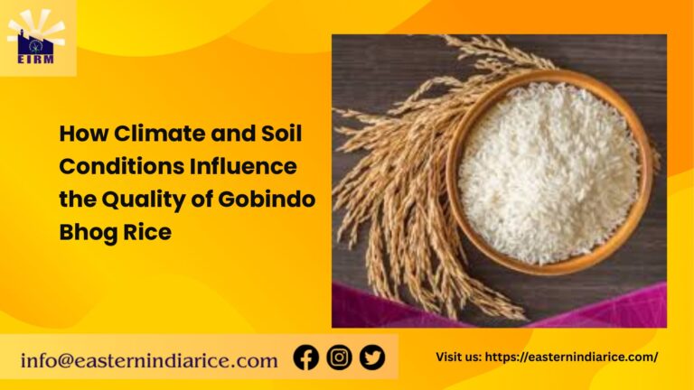 How Climate and Soil Conditions Influence the Quality of Gobindo Bhog Rice